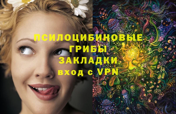 mix Пестово